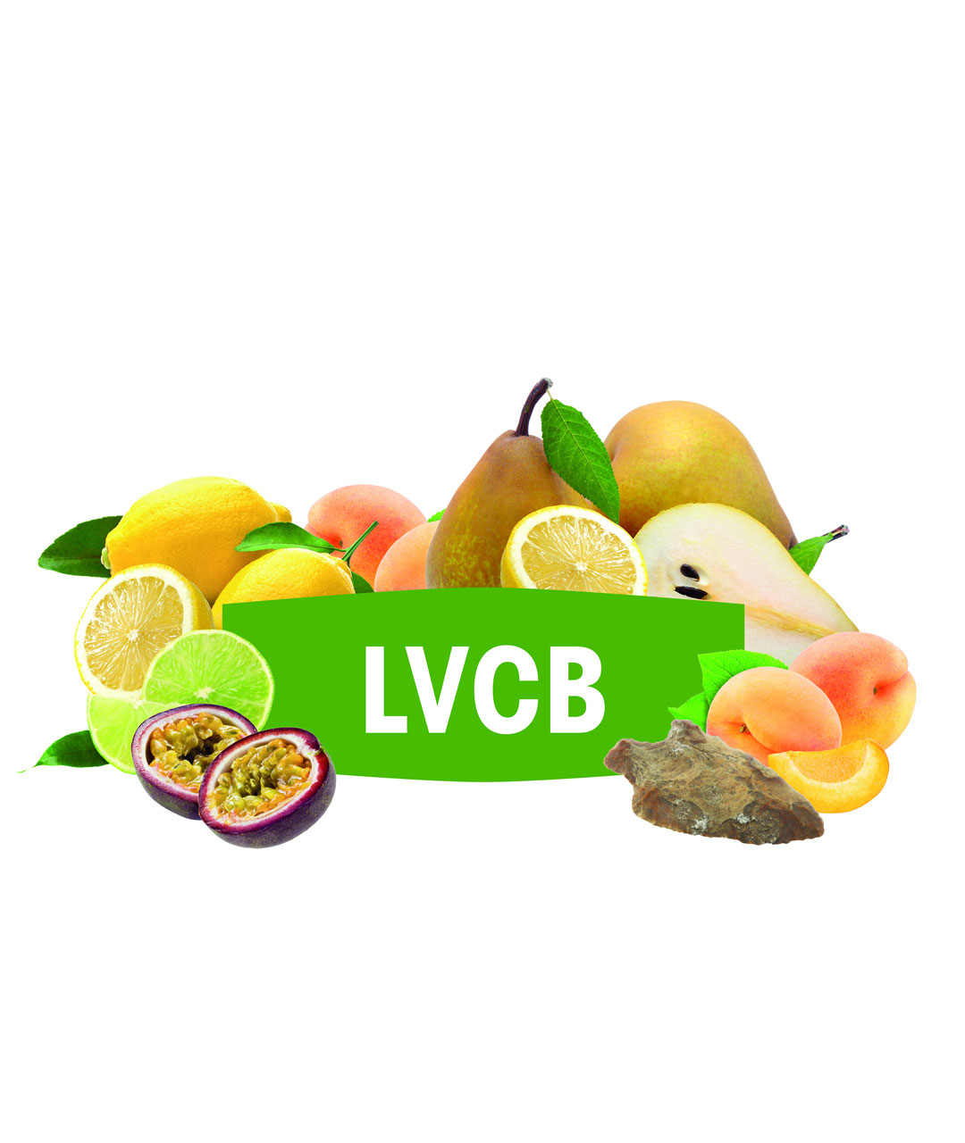 Fermivin  LVCB