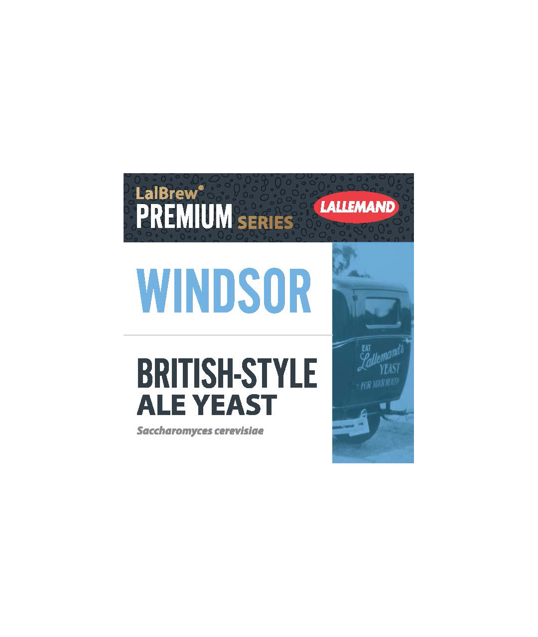 Windsor