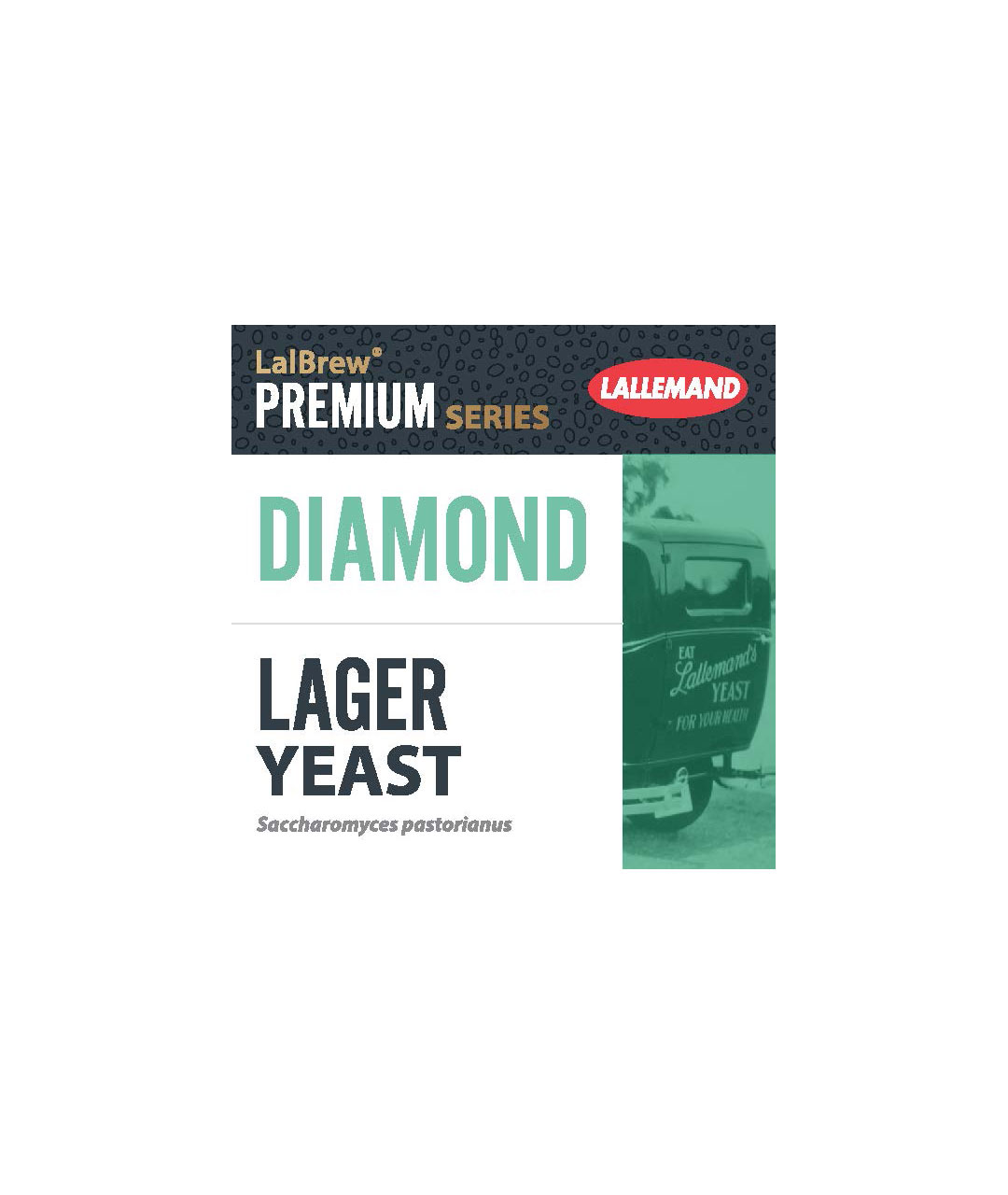 Diamond 