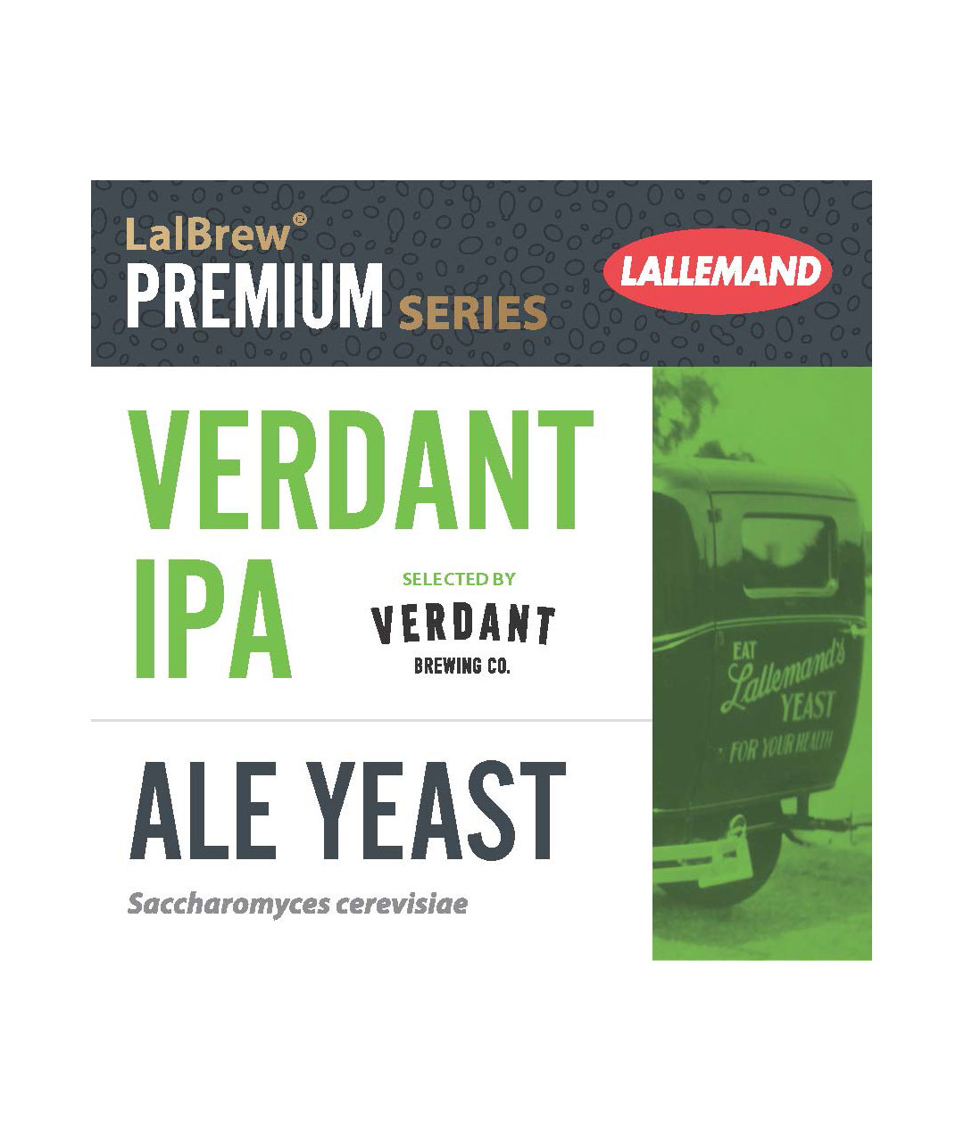 Verdant IPA 