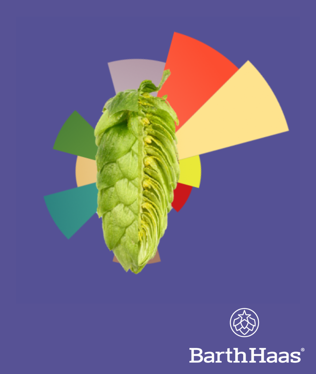 BARTHHAAS CASCADE SPECTRUM