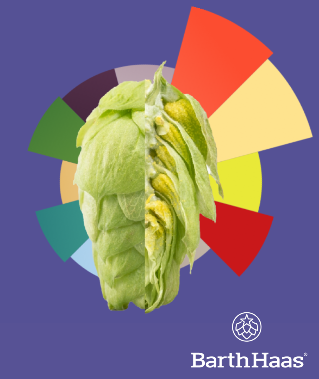 BARTHHAAS ECLIPSE® T90