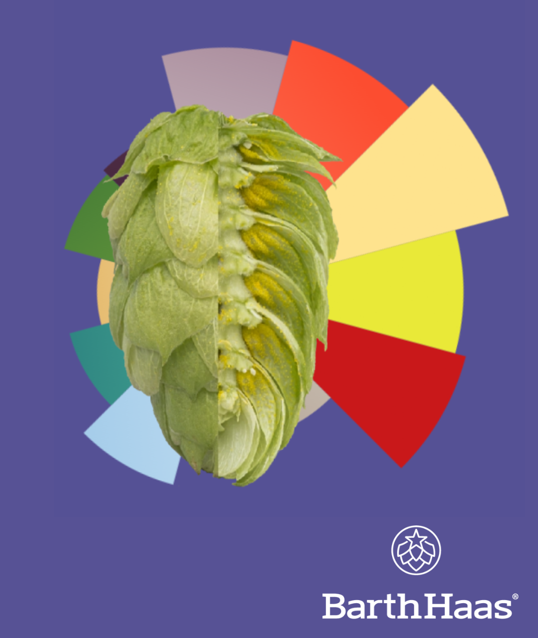 BARTHHAAS ENIGMA® T90