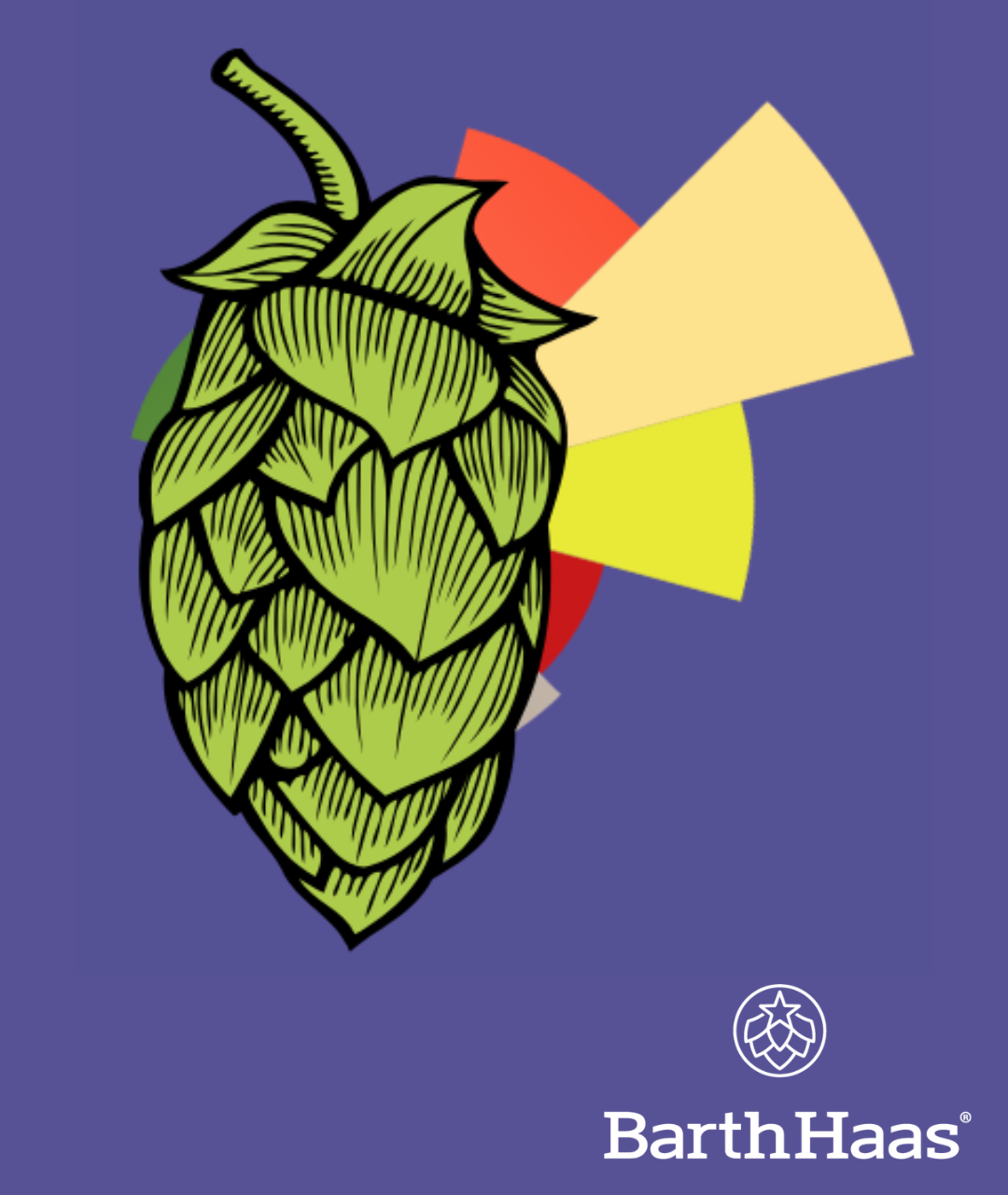 BARTHHAAS KRUSH® T90