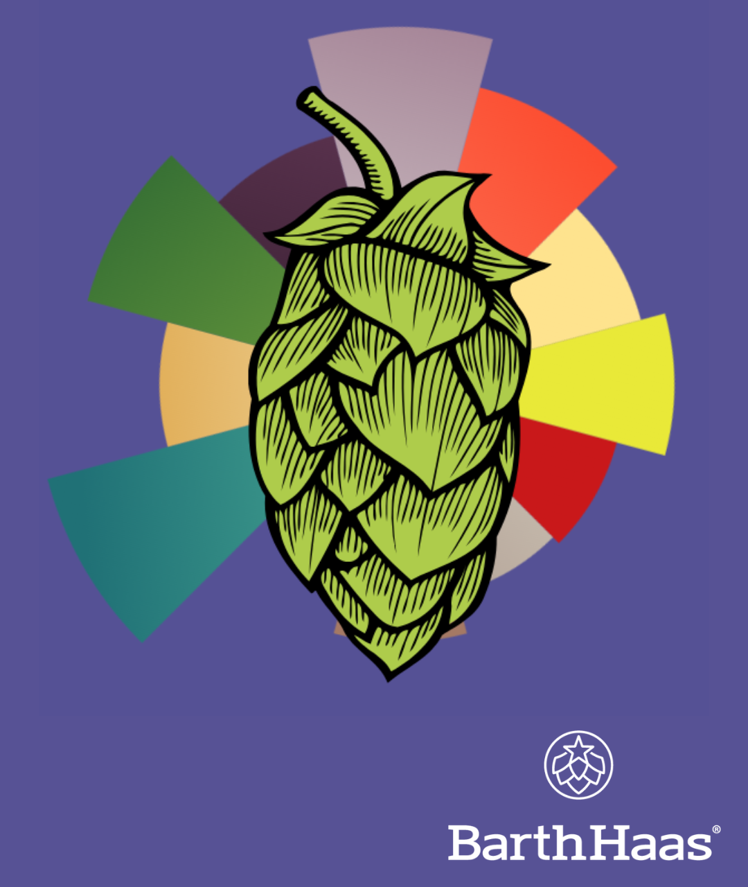 BARTHHAAS STYRIAN SAVINJSKI GOLDING® T90